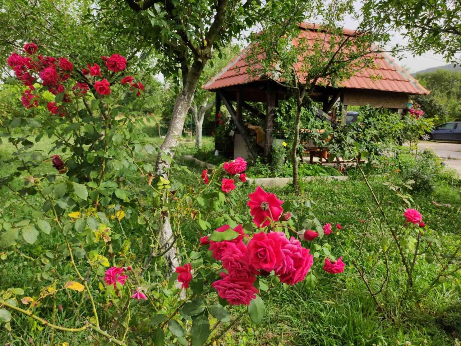 Green Valley كوتور المظهر الخارجي الصورة