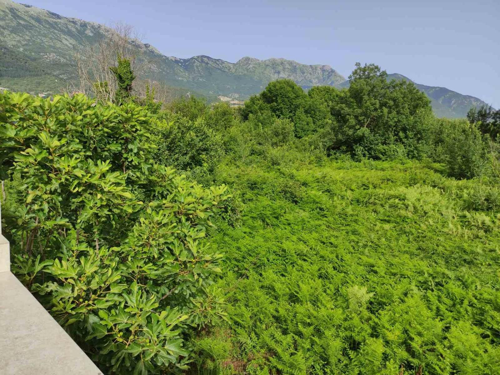 Green Valley كوتور المظهر الخارجي الصورة