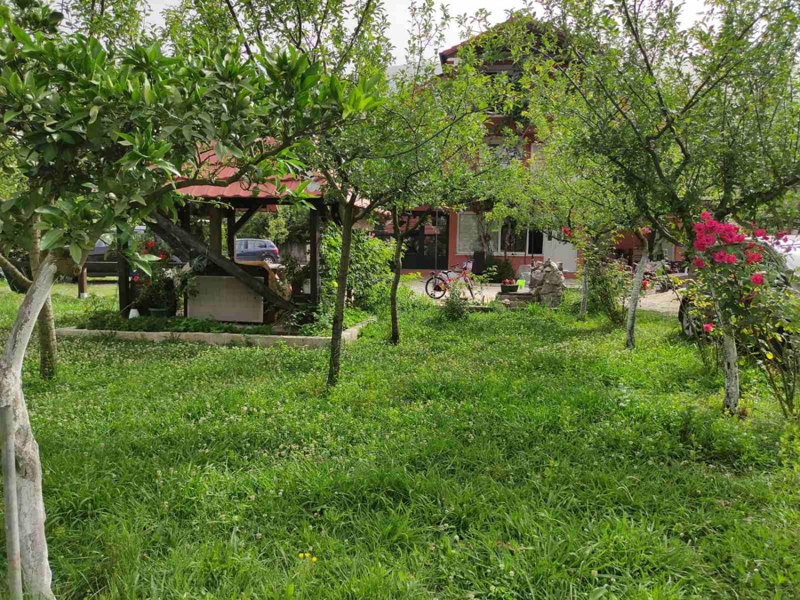 Green Valley كوتور المظهر الخارجي الصورة