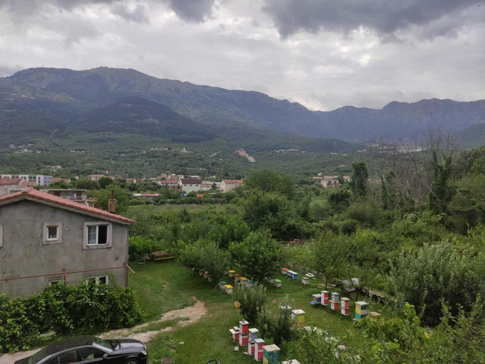 Green Valley كوتور المظهر الخارجي الصورة